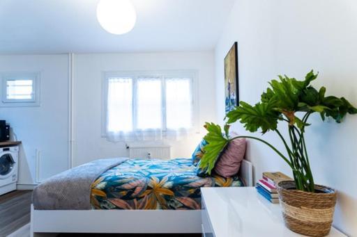 Le Coquet - Balcon - Proche Gare - Parking Apartment Bourg-en-Bresse Bagian luar foto